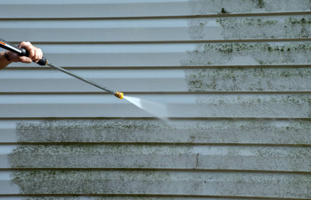 Best Building Exterior Washing  in White Cloud, MI